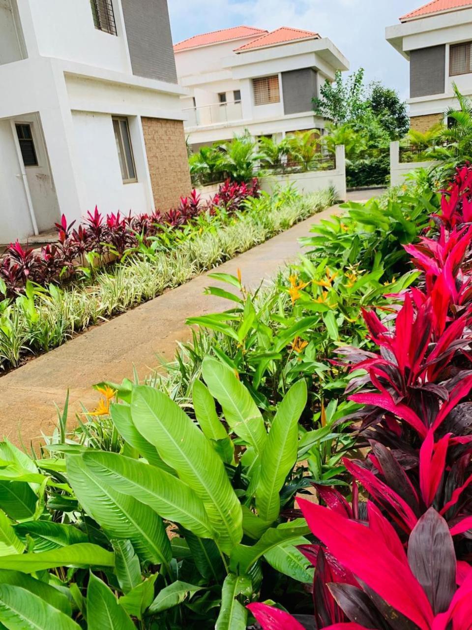 Mizzle Exotica Lonavala Daire Dış mekan fotoğraf